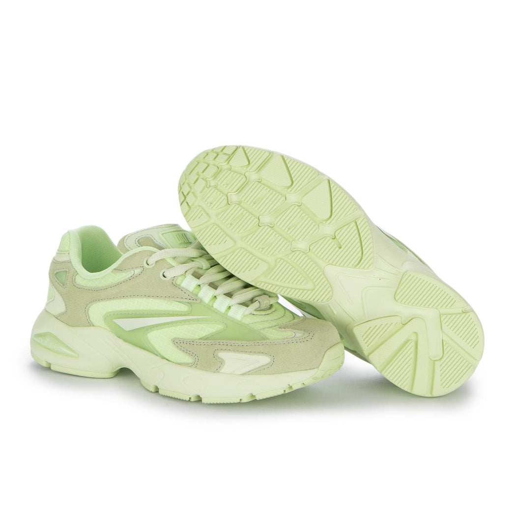 W401-SN-CO-GR SN23 COLORED  VERDE