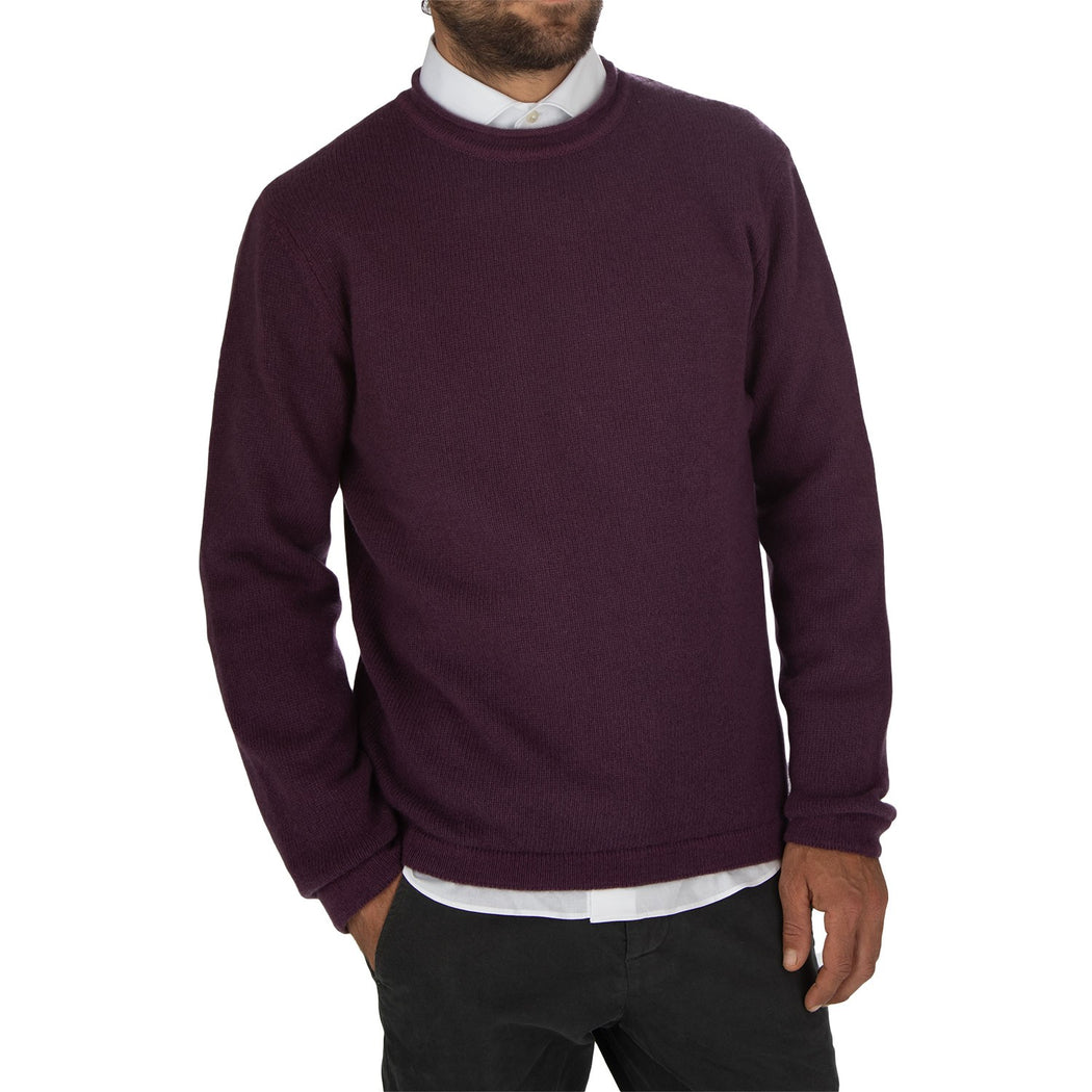 WO 8010  0681 VIOLA