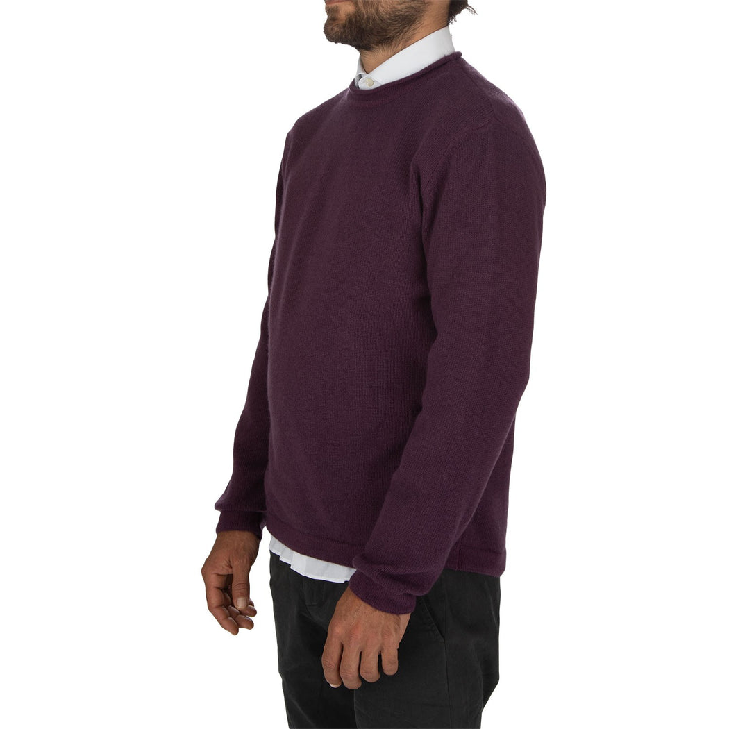 WO 8010  0681 VIOLA