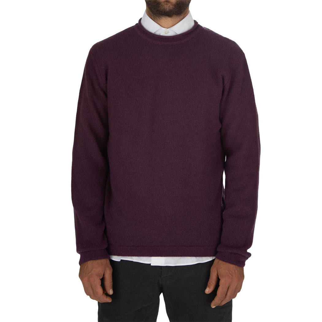 WO 8010  0681 VIOLA