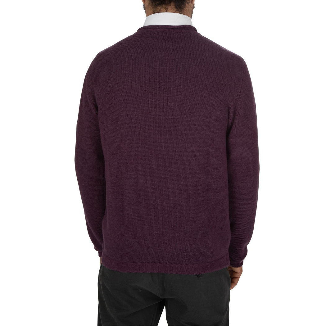 WO 8010  0681 VIOLA