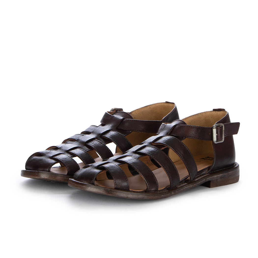 36608G-KU KURNI  MARRONE