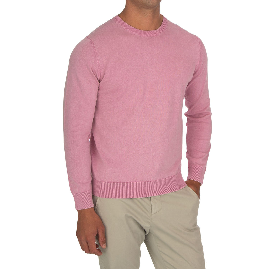 2629801  S01 ROSA
