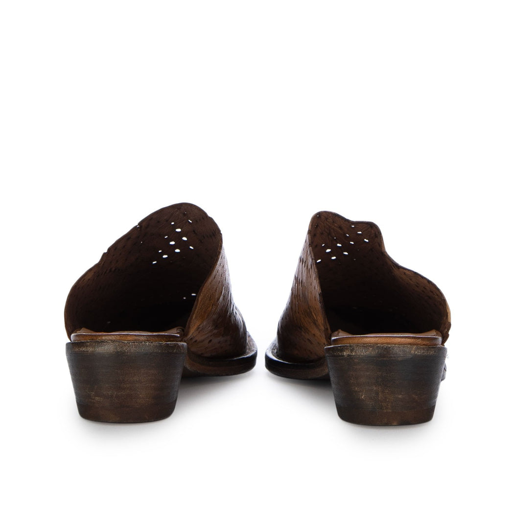 36104 CRUST-ENTRY  MARRONE