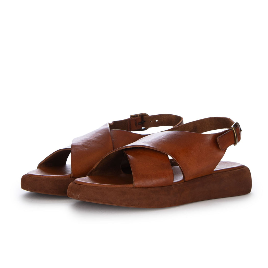 85645 MAT.T/CAPO SIGARO  MARRONE