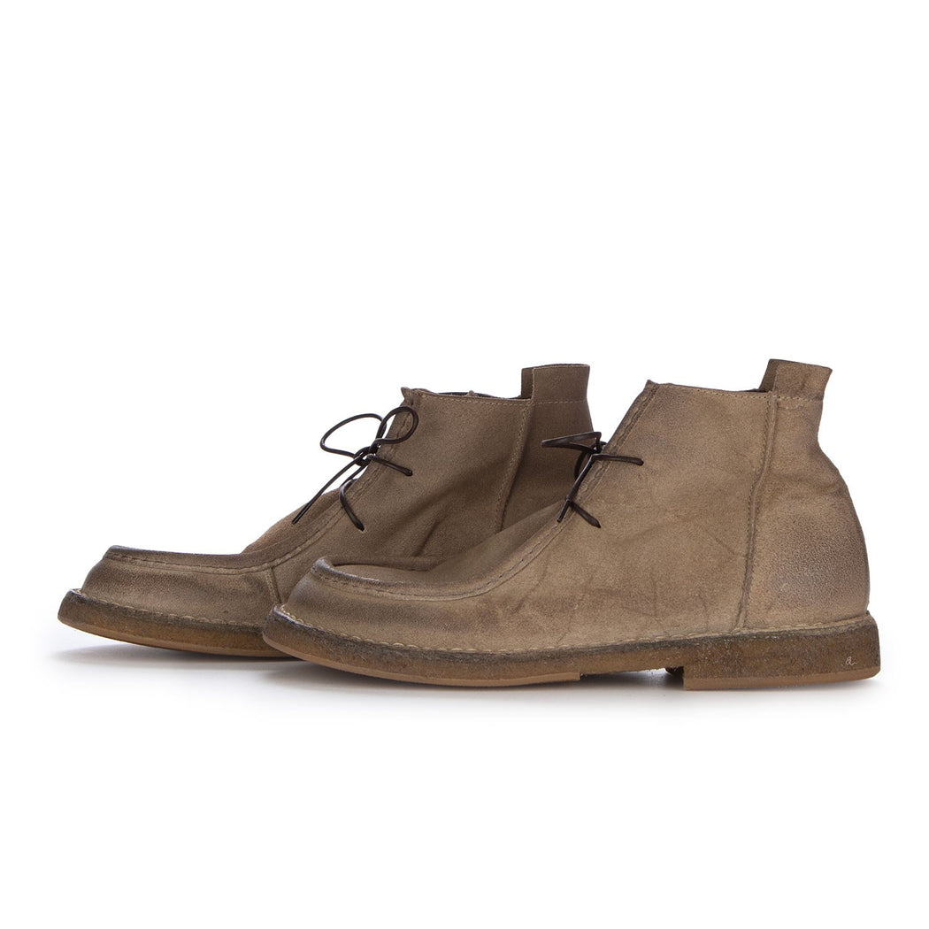 56503C-SA TORTORA  BEIGE