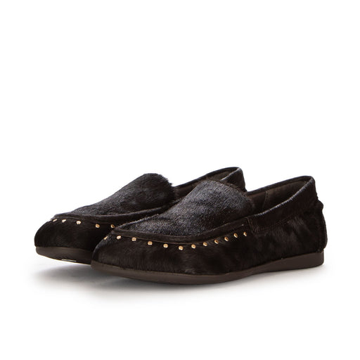 JASPER02 PONY T.MORO  MARRONE