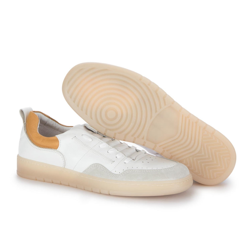 23611 CAMOSCIO/VITELLO  BIANCO