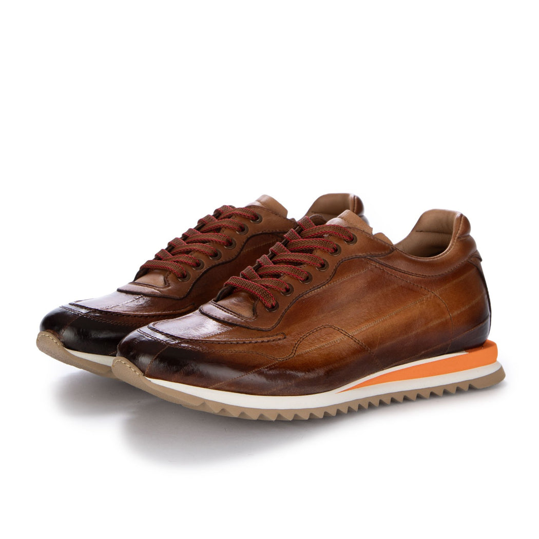 15841 ANGUILLA  MARRONE