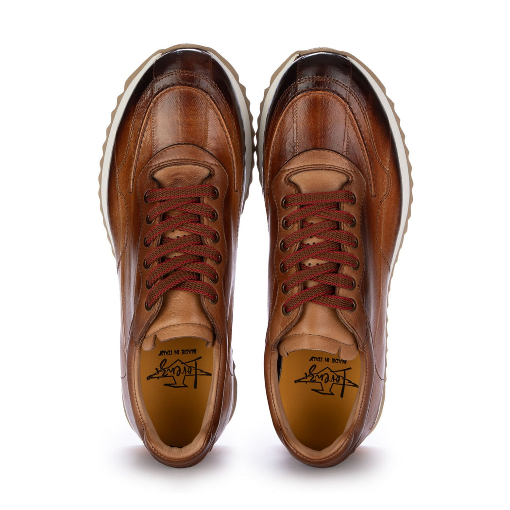 15841 ANGUILLA  MARRONE