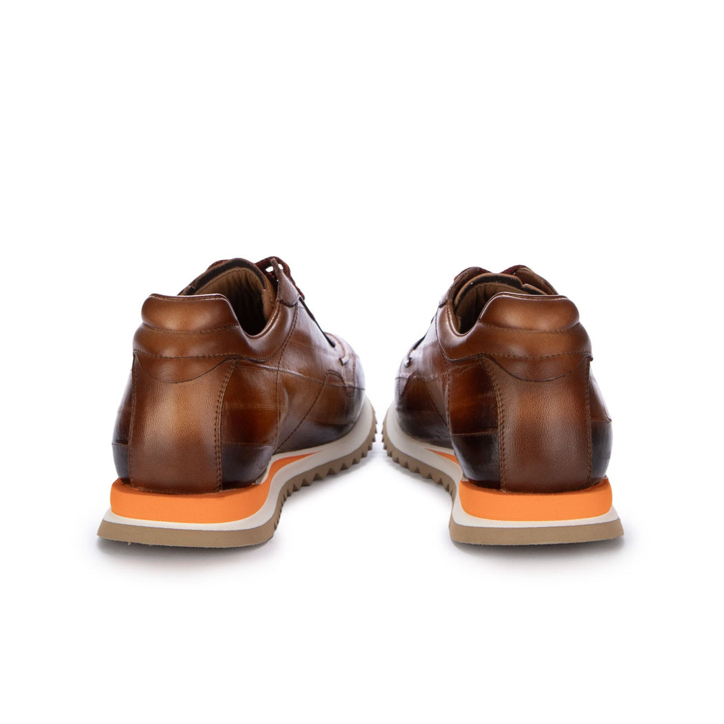 15841 ANGUILLA  MARRONE
