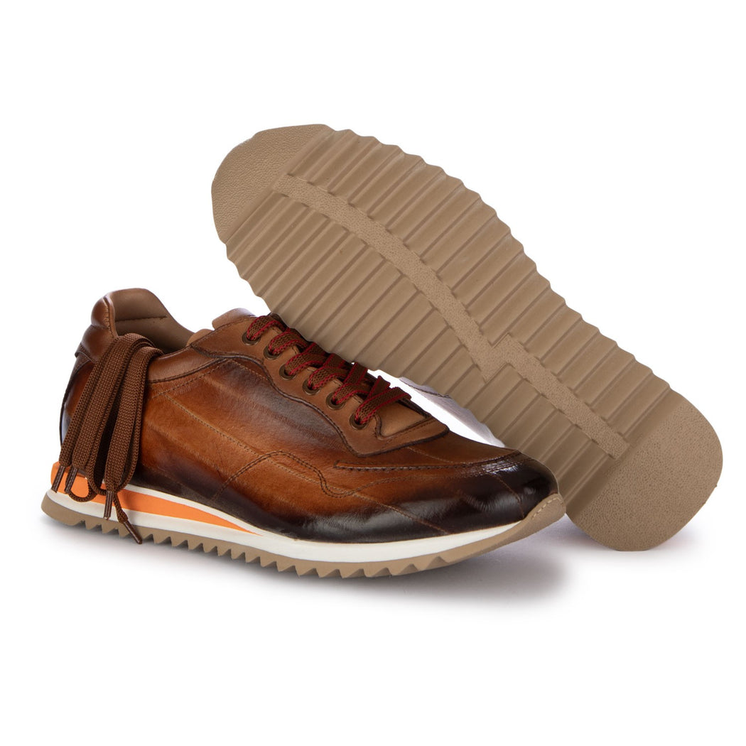 15841 ANGUILLA  MARRONE