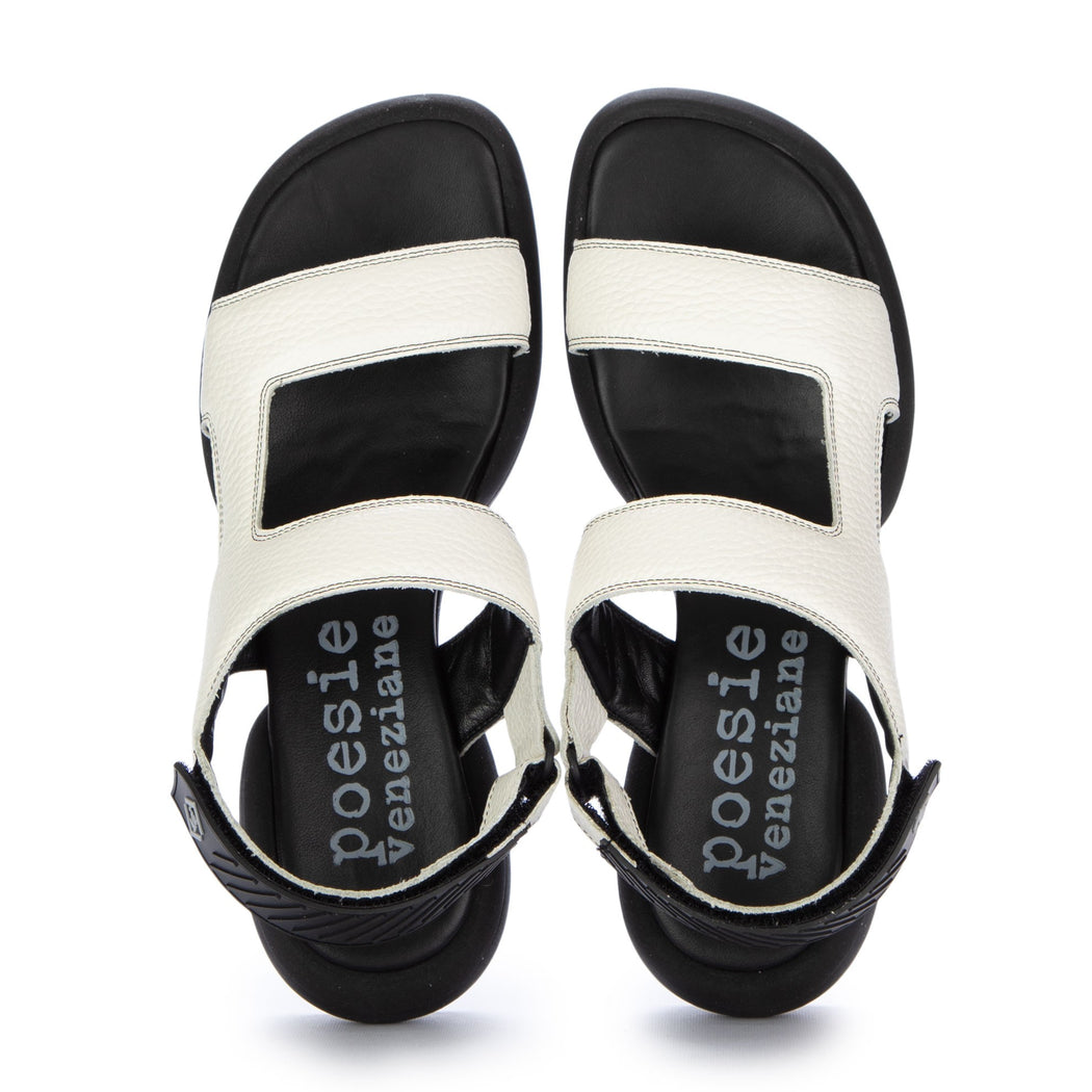 JCP01 CORONA C38  BIANCO/NERO