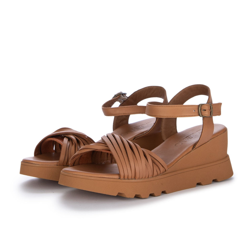 WY8609  MARRONE