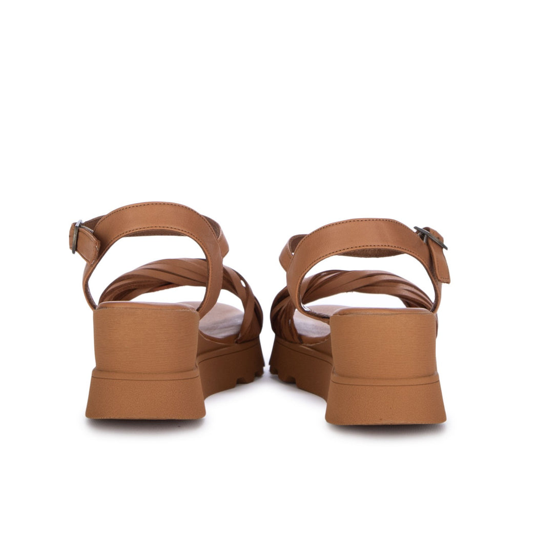 WY8609  MARRONE