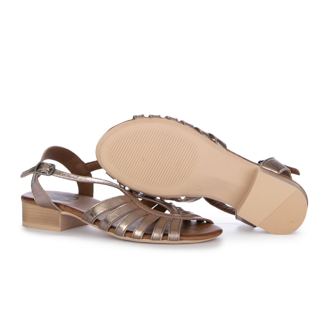 WA7307  BRONZO