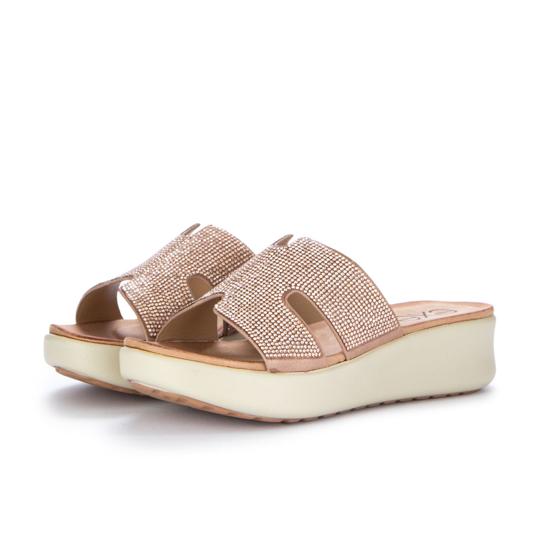 BZX33170-H13  ROSA ANTICO