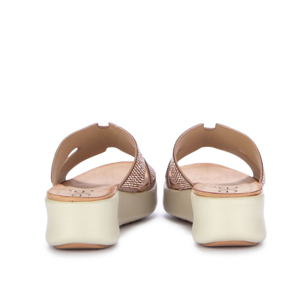 BZX33170-H13  ROSA ANTICO