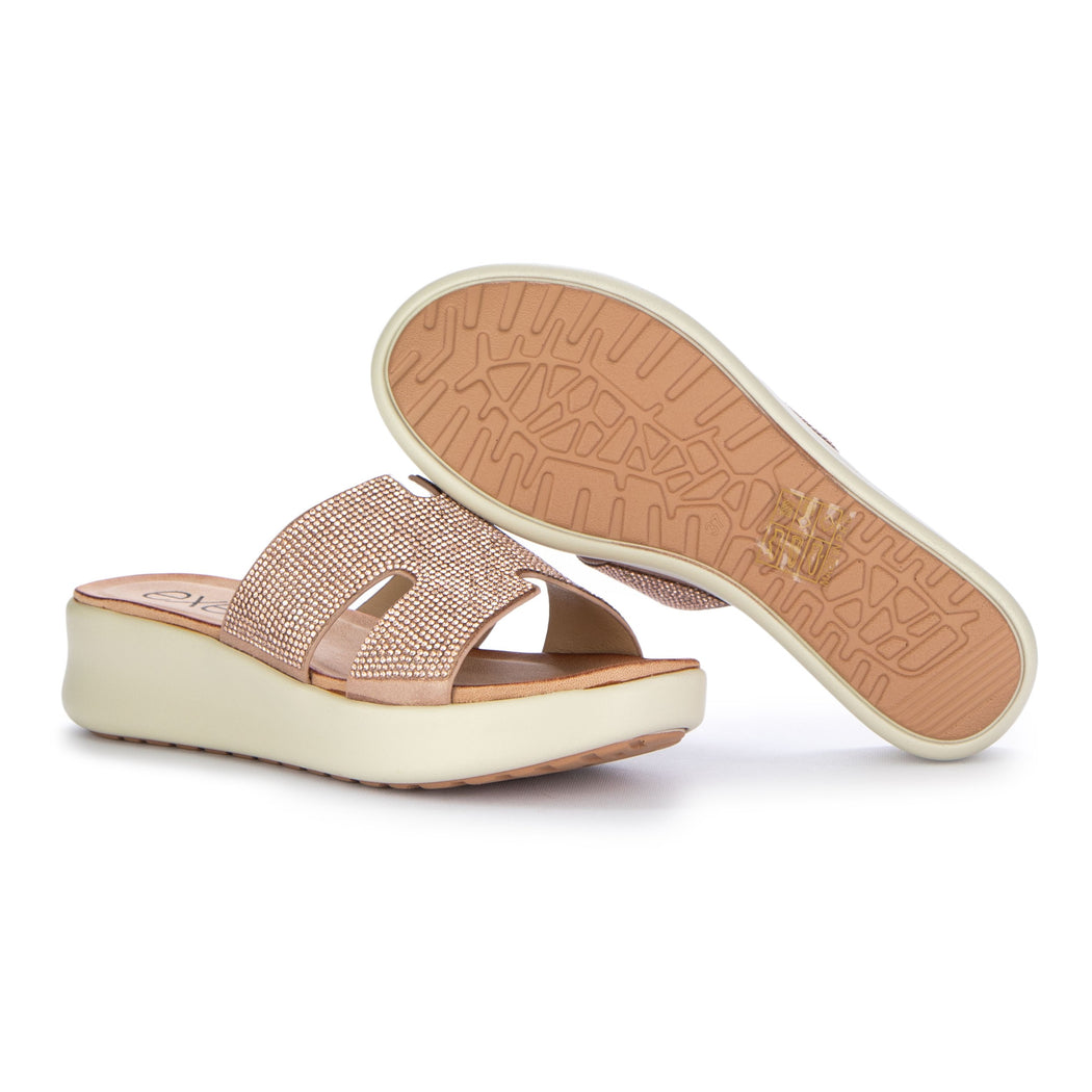 BZX33170-H13  ROSA ANTICO