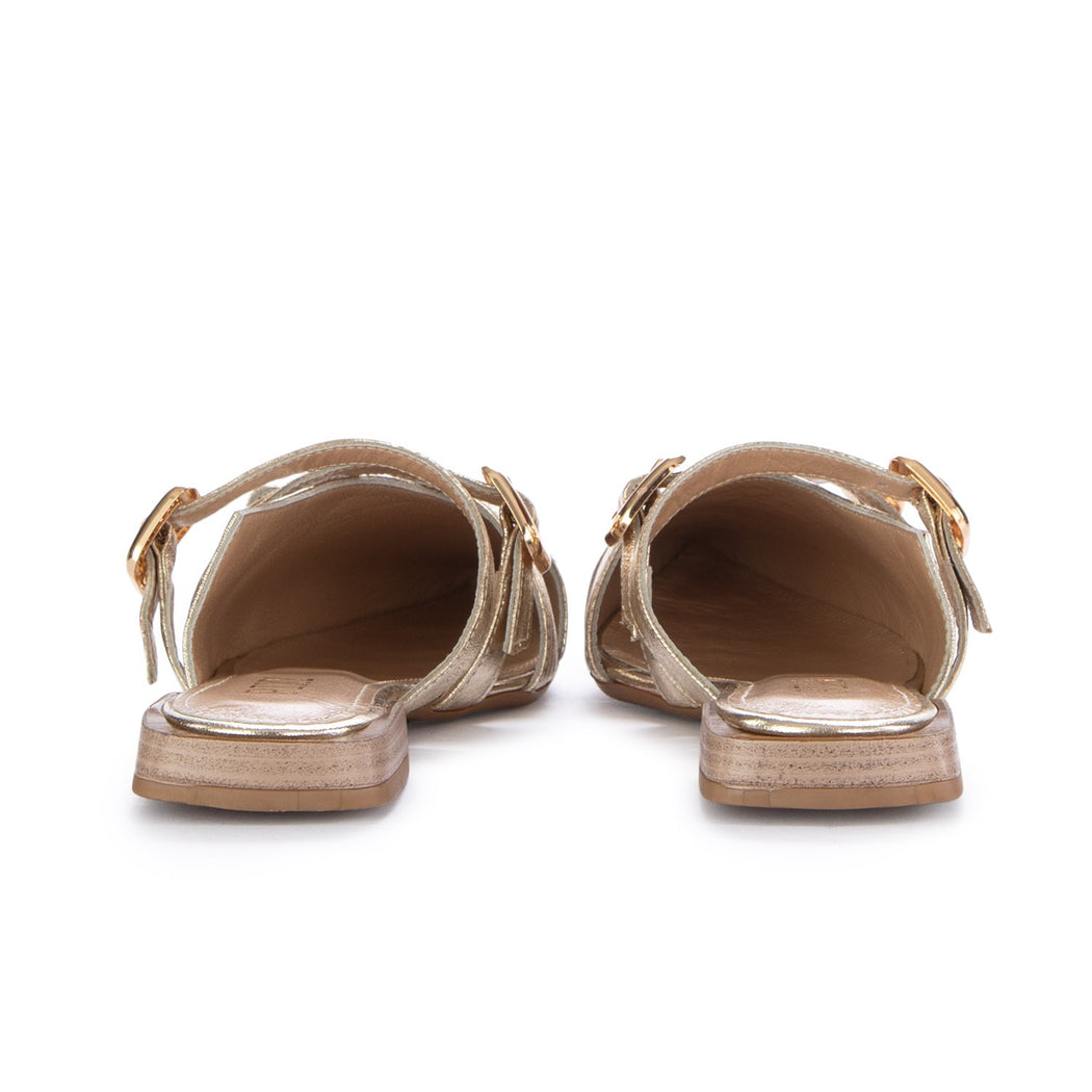557507 GOLD  ORO