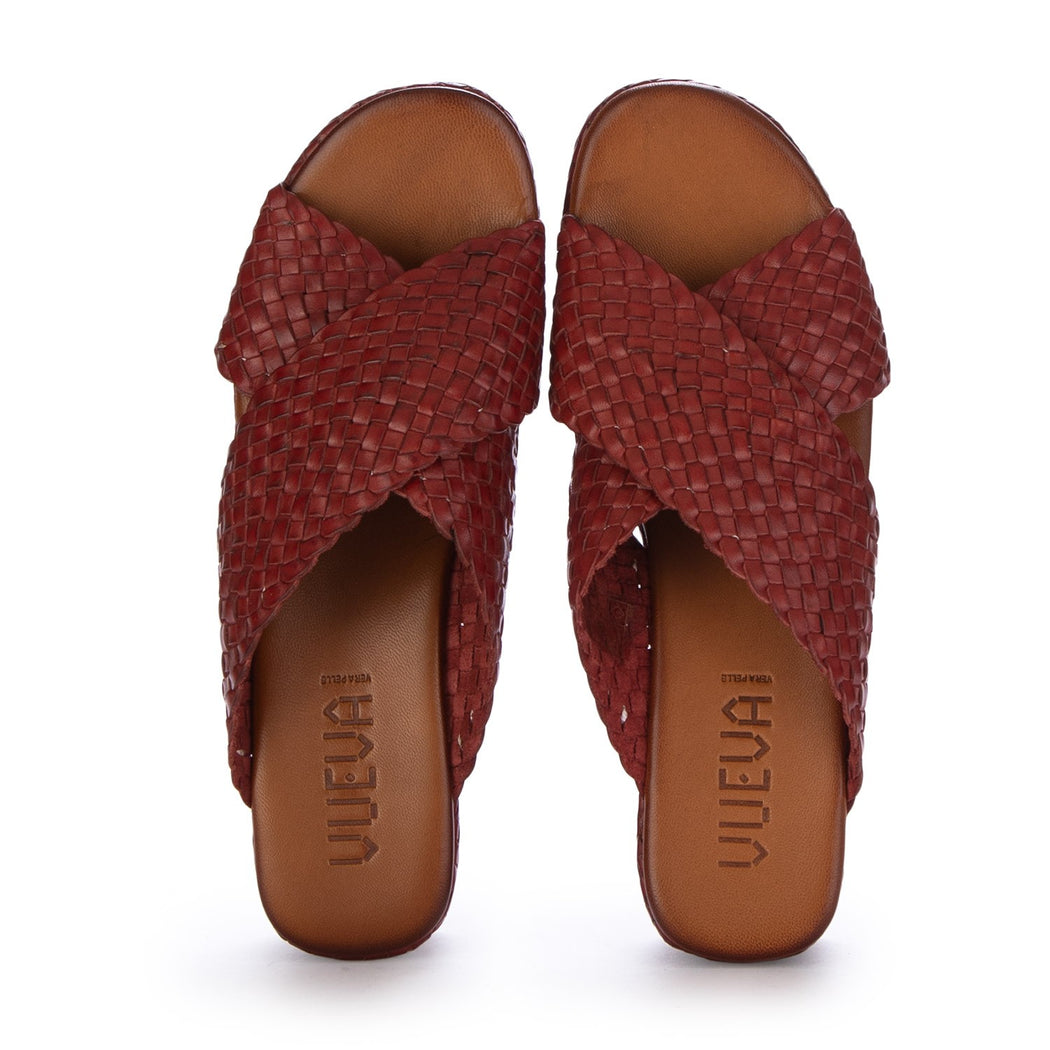 WD-312R07-M1 TERRA 701  BORDEAUX