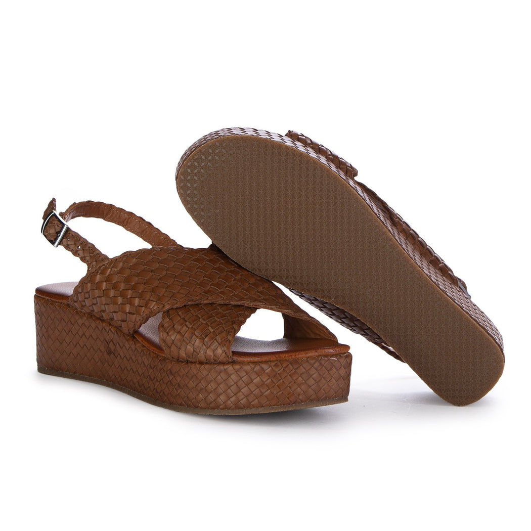 WD-312R17 TERRA 311  MARRONE