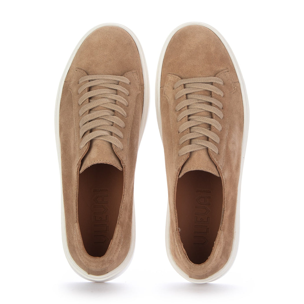 MS-638R05 VELOUR 902  BEIGE