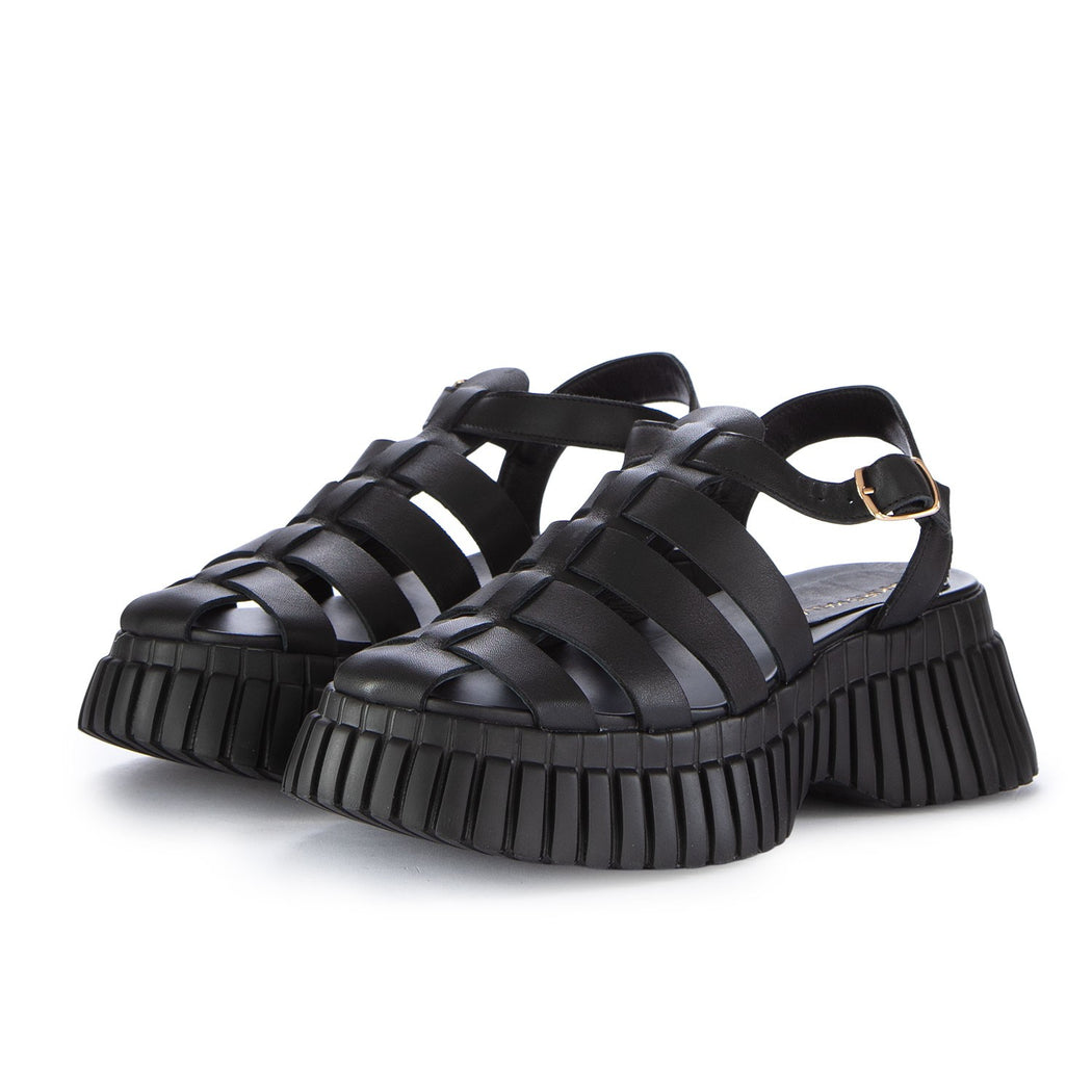 591 TSAKI  NERO