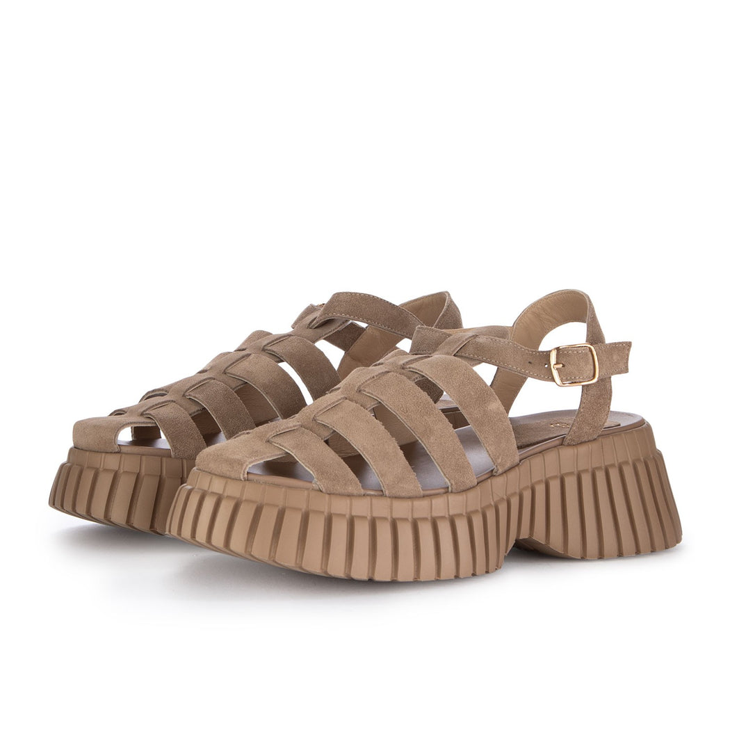591 TSAKI SUEDE TAUPE  GRIGIO\MARRONE