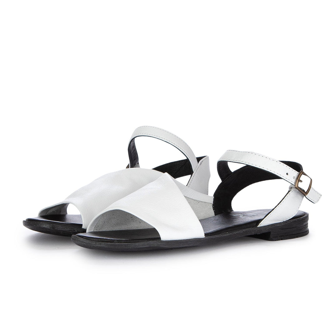 WN5001  BIANCO\NERO