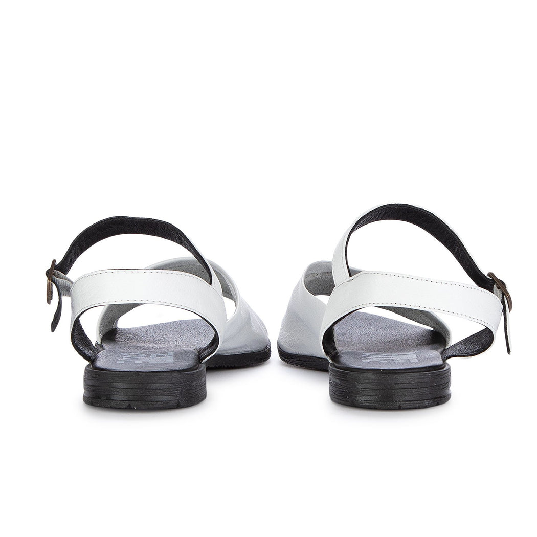 WN5001  BIANCO\NERO