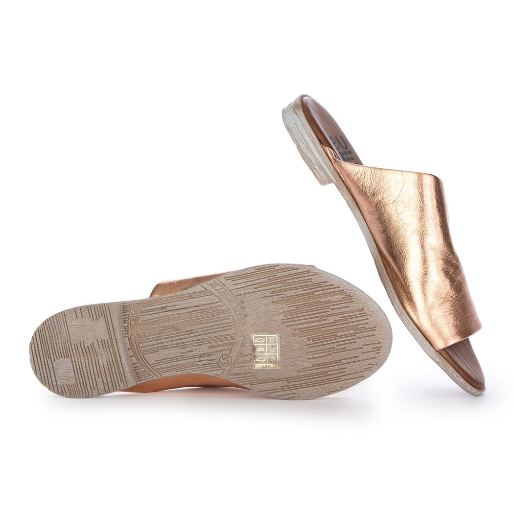 WQ2009  BRONZO