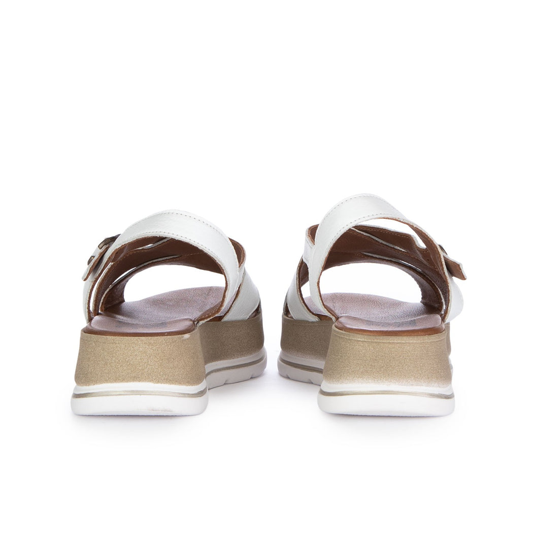 WE3402  BIANCO