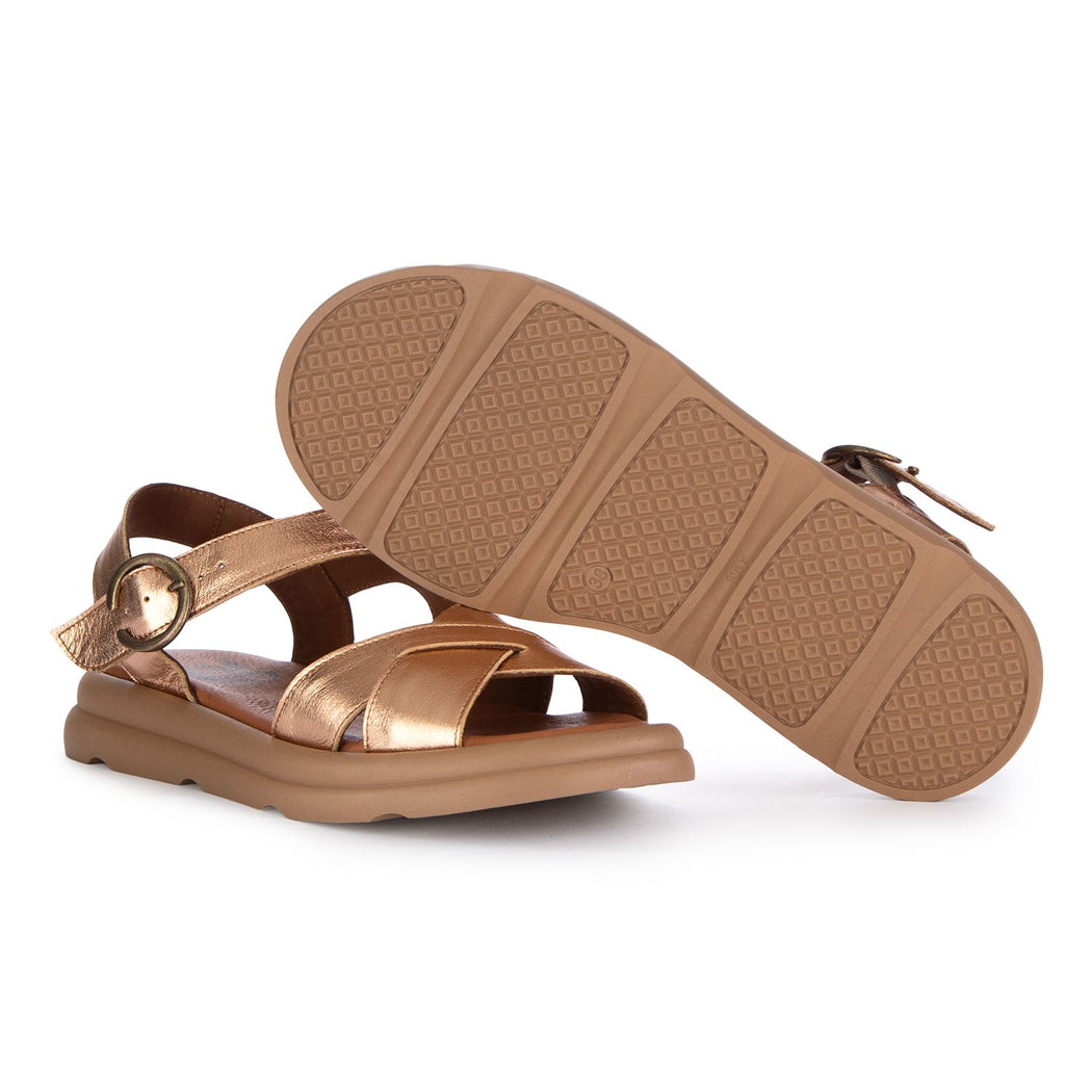 WE3302  BRONZO