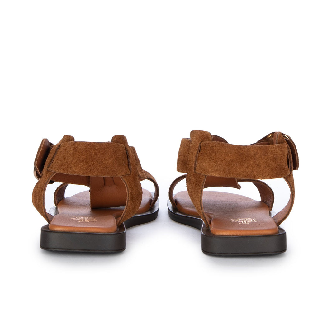 559212-62 SUEDE TAN  MARRONE