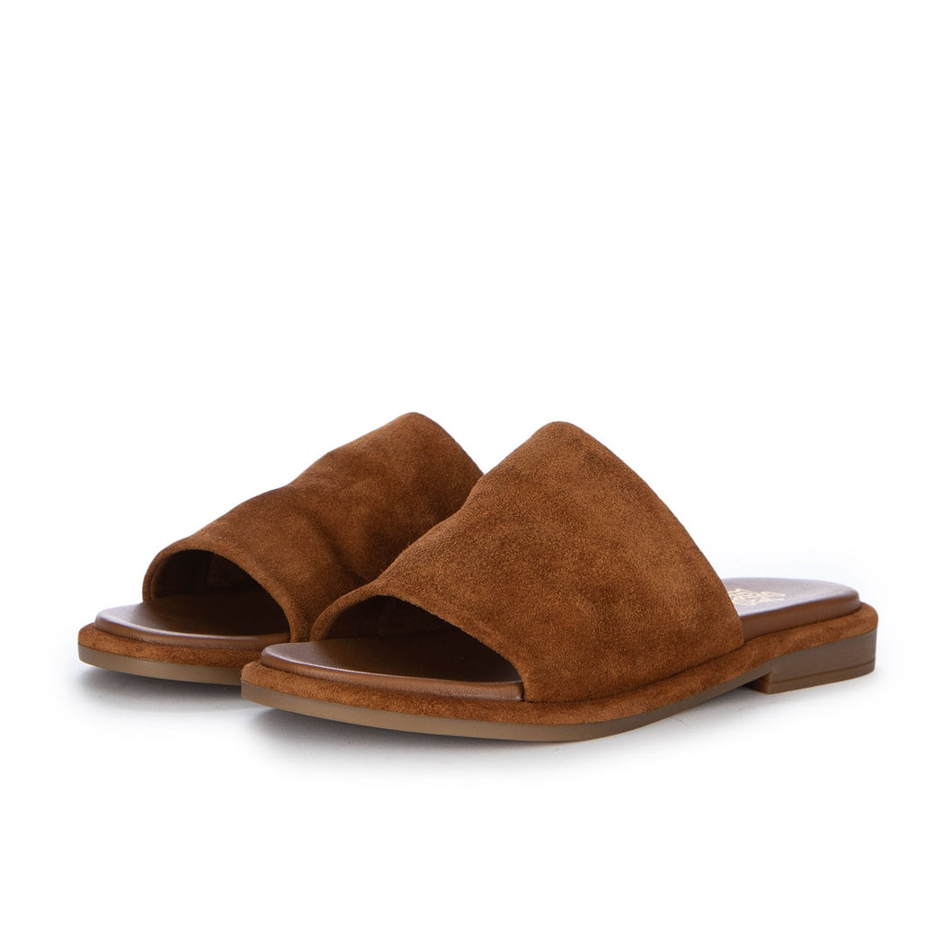 621401  TAN SUEDE  MARRONE