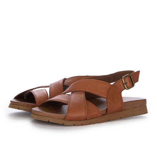 WG1105  MARRONE