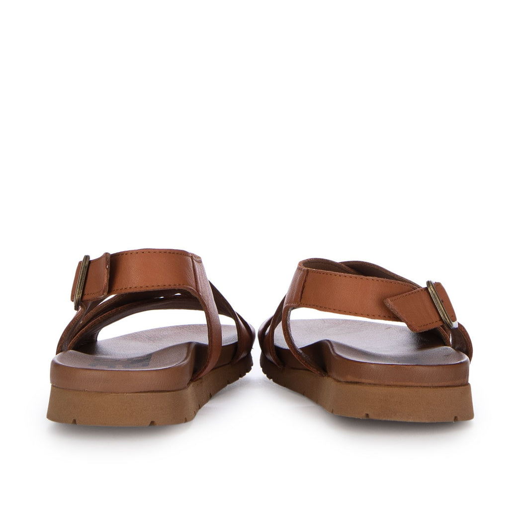 WG1105  MARRONE