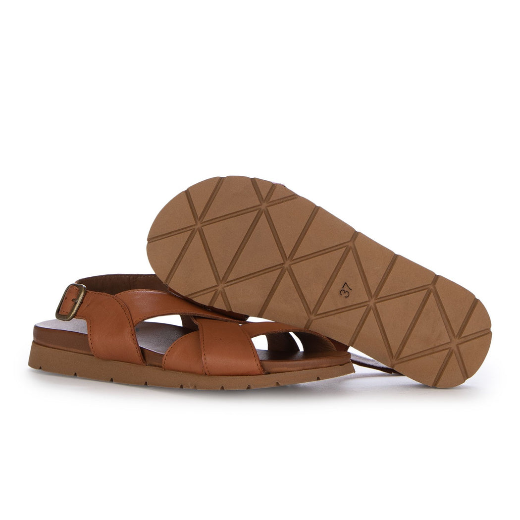 WG1105  MARRONE