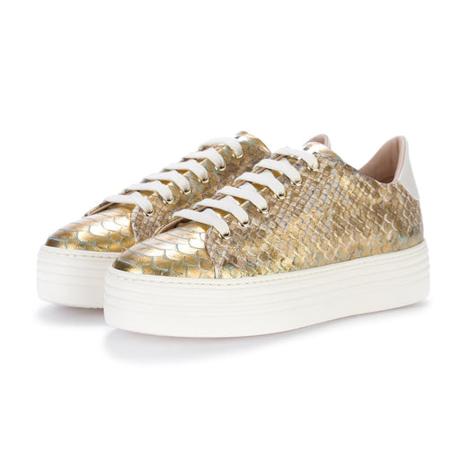 stokton womens sneakers rodolfo gold